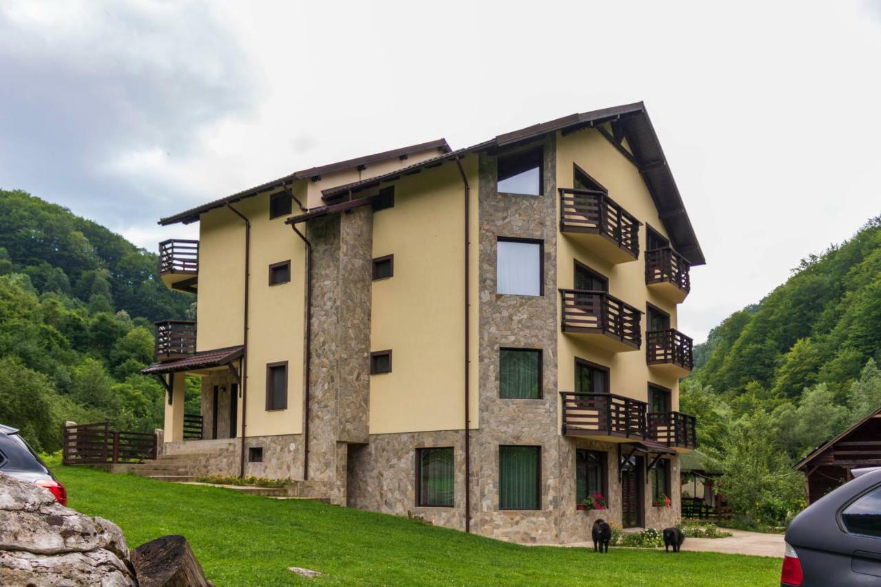 Casa Valea Cernei Isverna Exterior foto